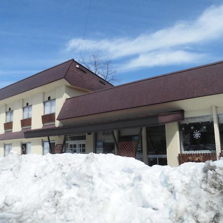 Lodge Villa Happo Hakuba Kültér fotó
